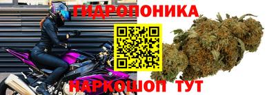 не бодяженный Аргун