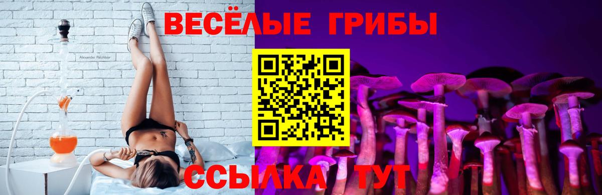 Галлюциногенные грибы GOLDEN TEACHER  Псилоцибиновые грибы MAGIC MUSHROOMS  Кохма 