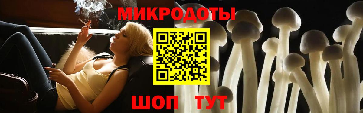 Псилоцибиновые грибы мицелий Кохма